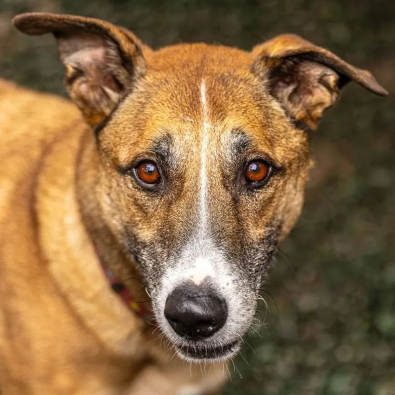 Hot Chocolate thumbnail 5