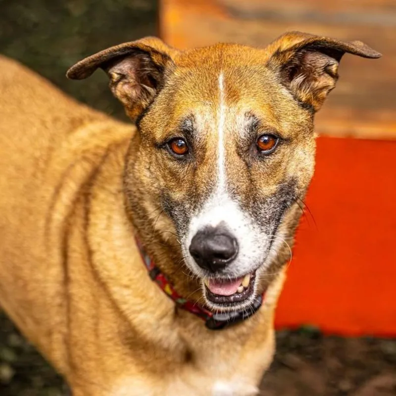 Hot Chocolate thumbnail 6