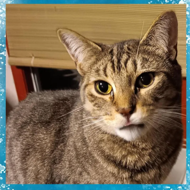 Disney Prince & Princess