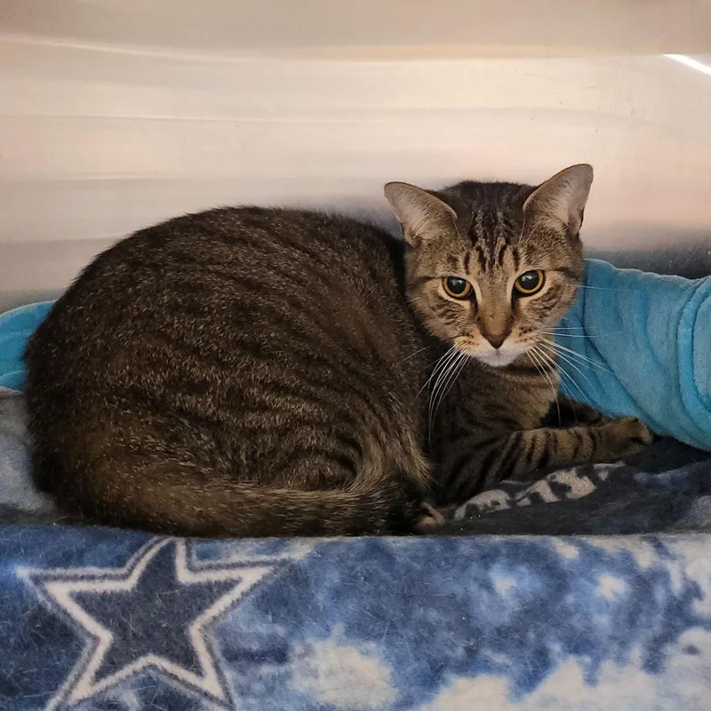 Disney Prince & Princess thumbnail 2