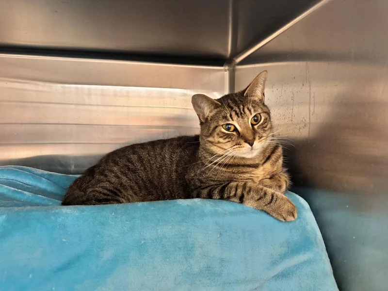 Disney Prince & Princess thumbnail 3