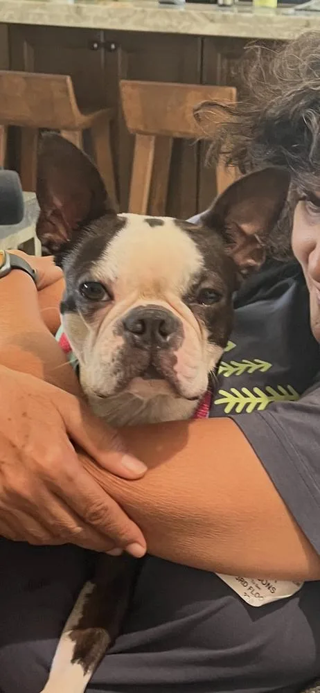 Little Lola   thumbnail 2