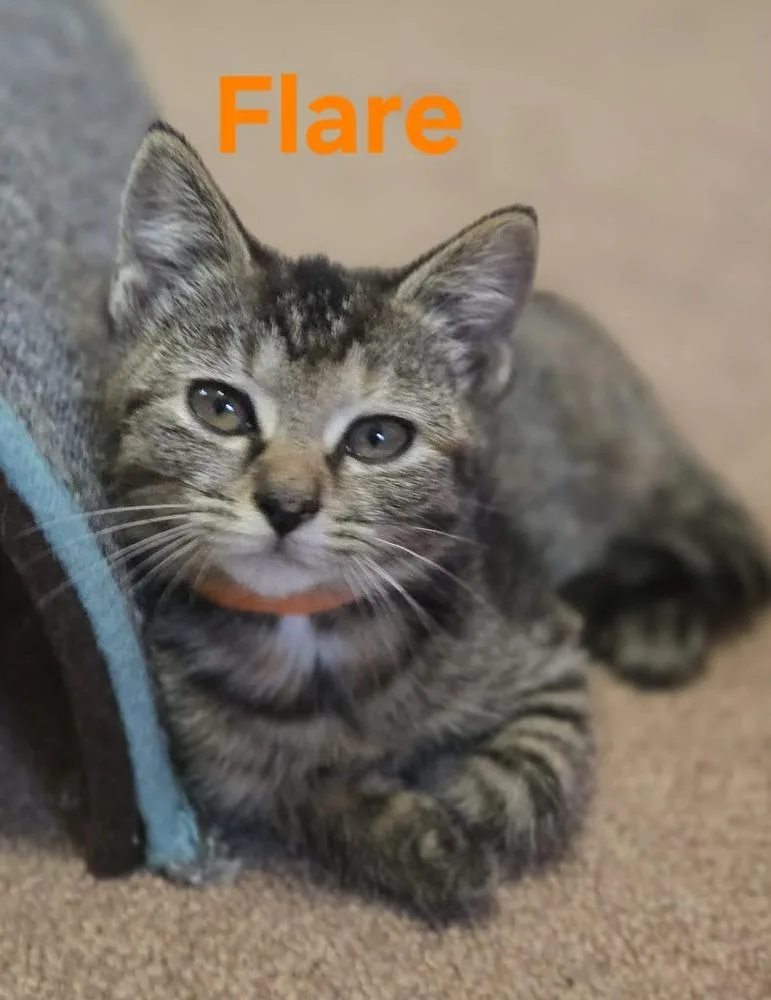 Flare thumbnail 2