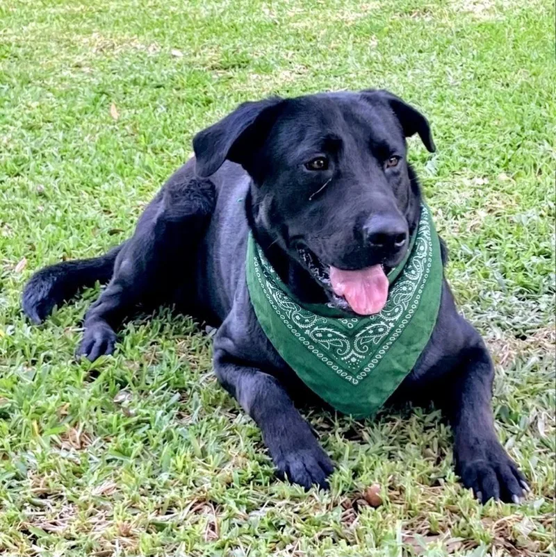Tucker