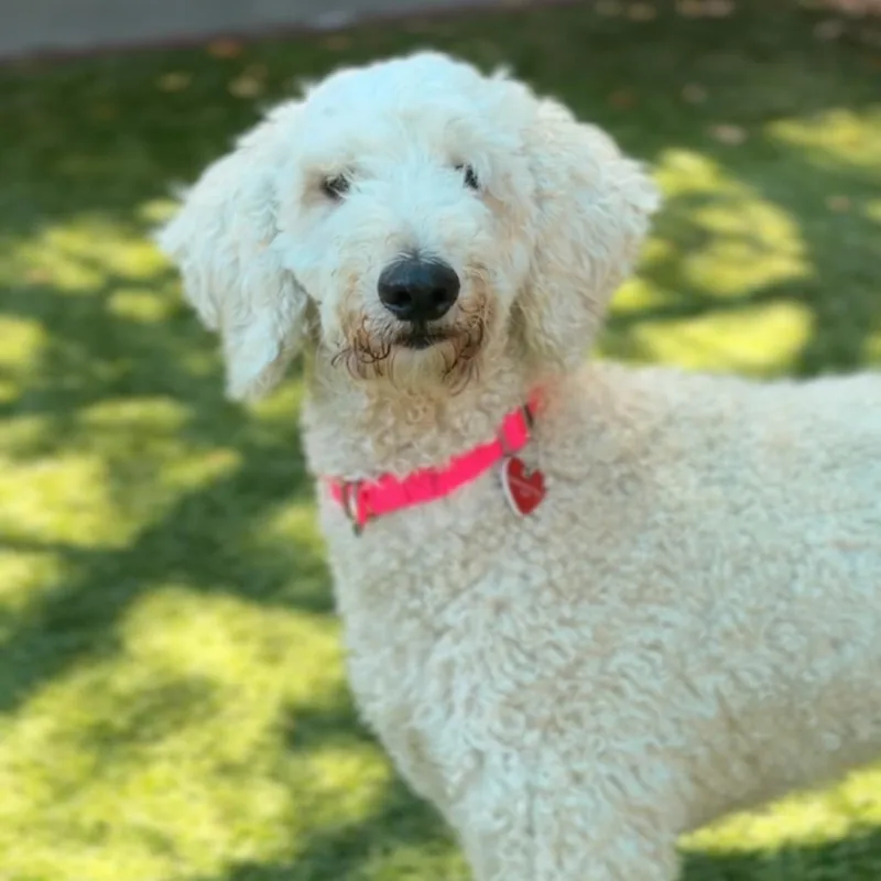 Betty A thumbnail 2