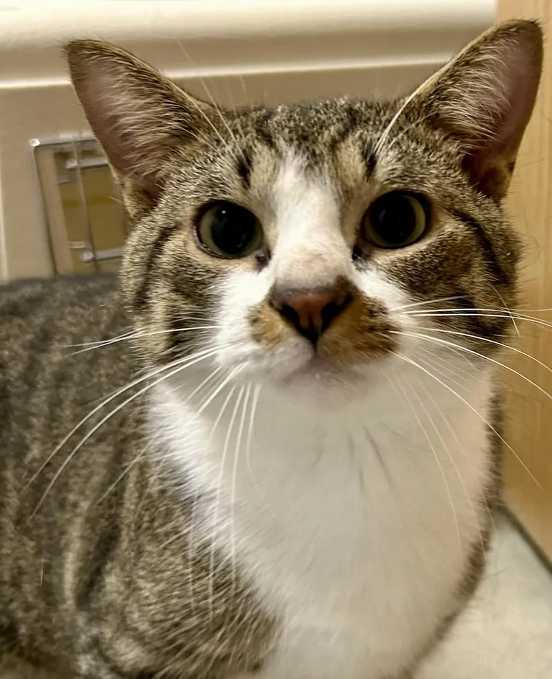 Tucker thumbnail 2