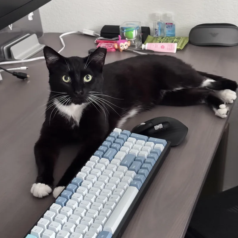 Nico & Jett thumbnail 2