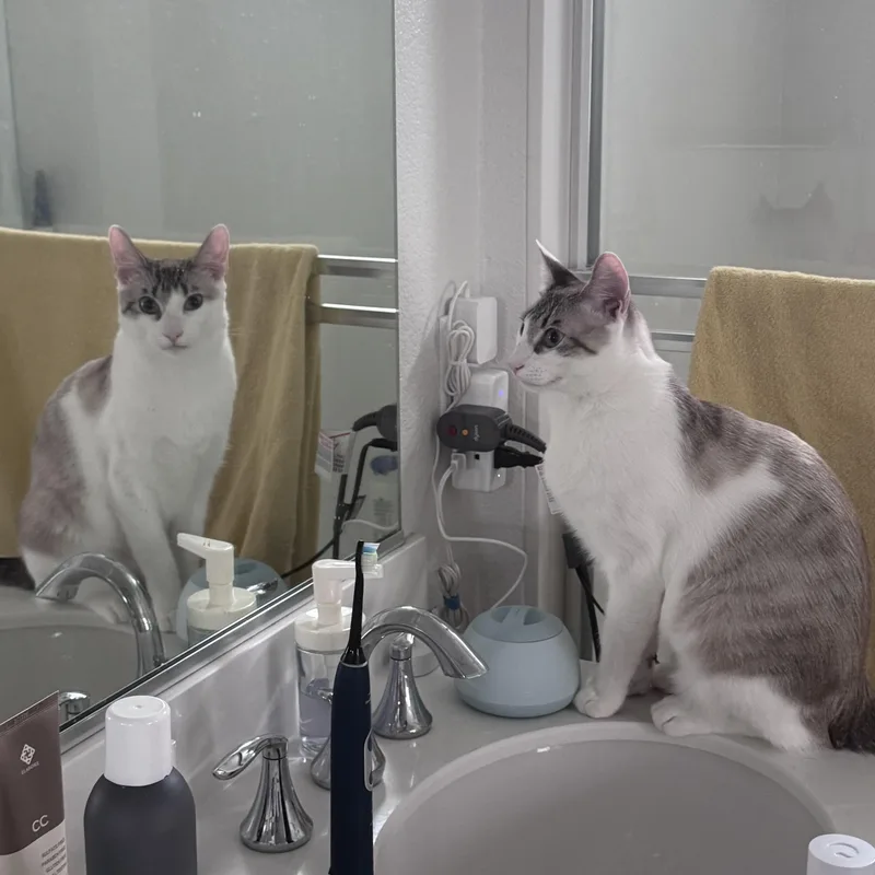 Nico & Jett thumbnail 4