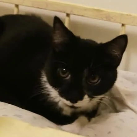 Cristoff thumbnail 4