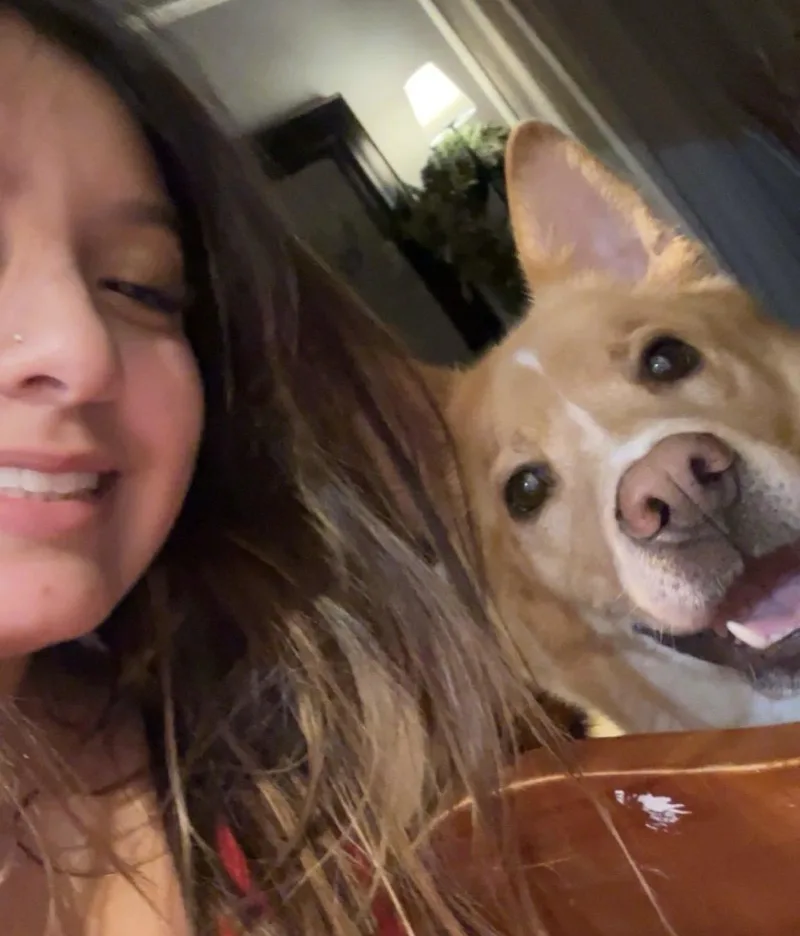 Henry Chestnut thumbnail 5