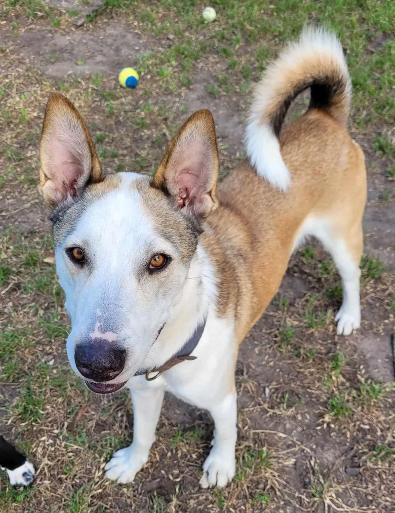 Kentucky thumbnail 4