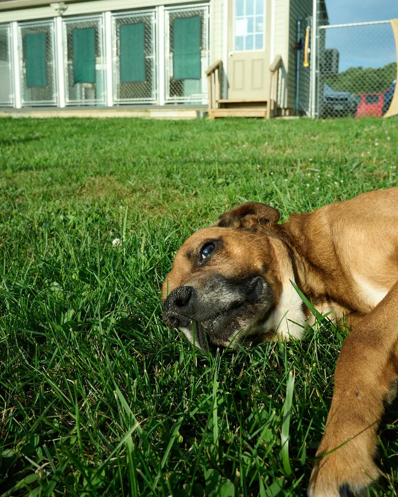 Chico thumbnail 3