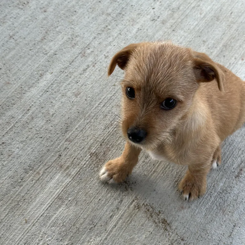Ernie