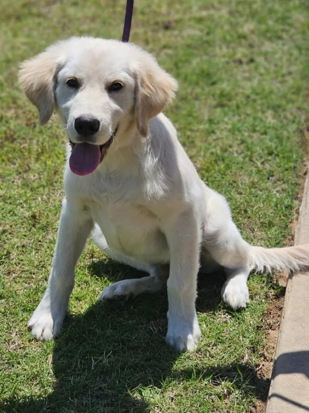 Charlie