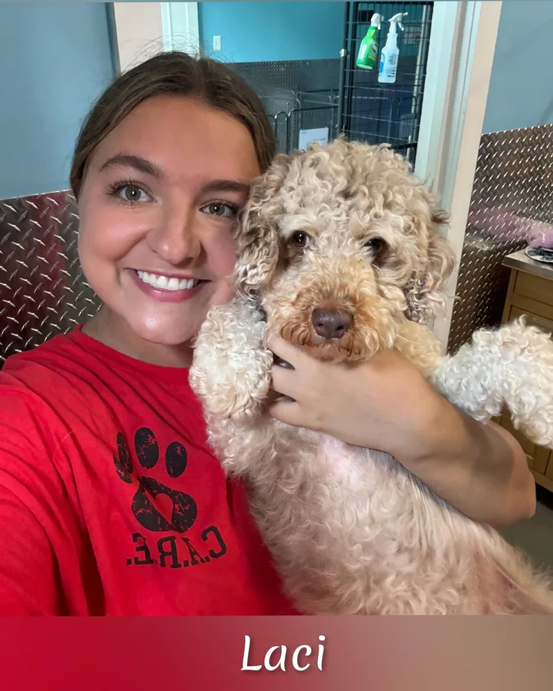 Laci thumbnail 5