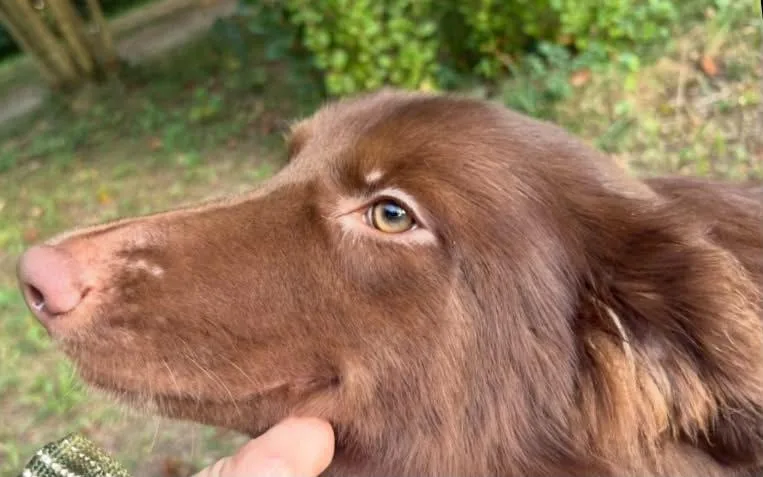 Mocha thumbnail 3
