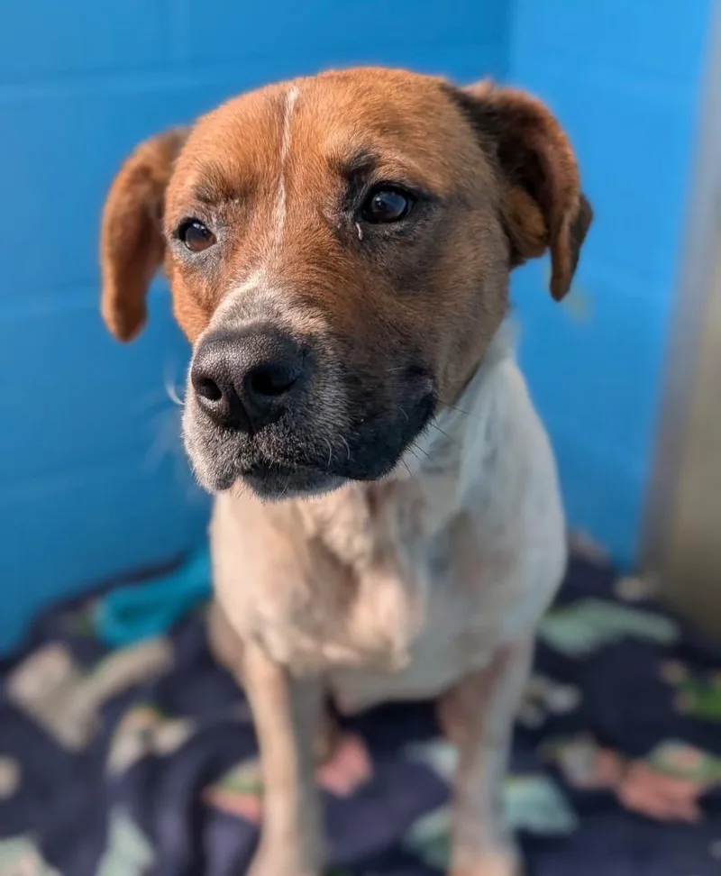 Minestrone thumbnail 2