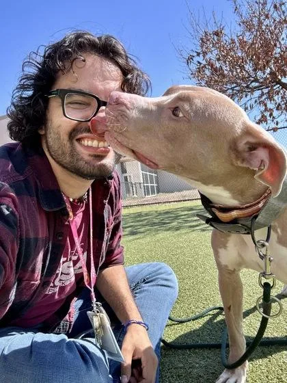 Oled Monitor thumbnail 3