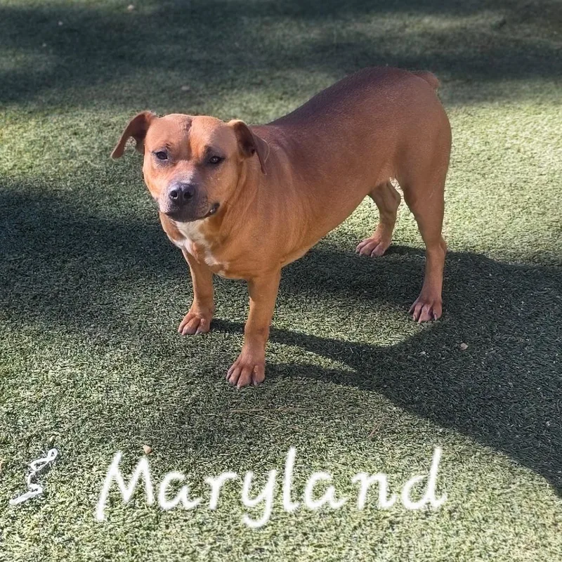 Maryland thumbnail 3