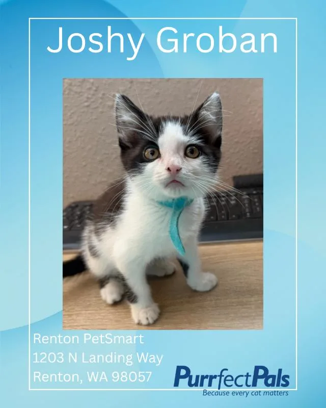 Joshy Groban