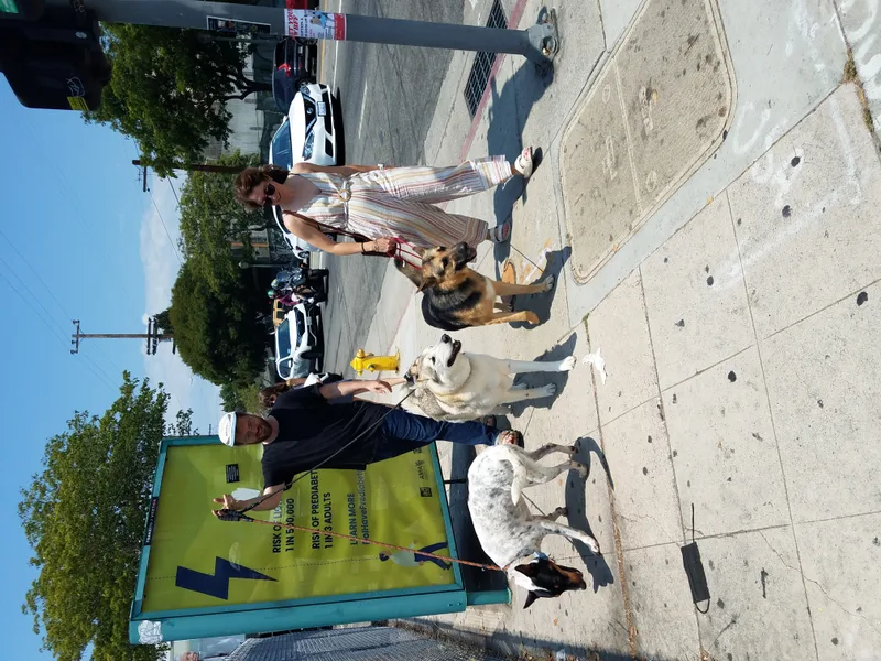 Chachachachachanges!