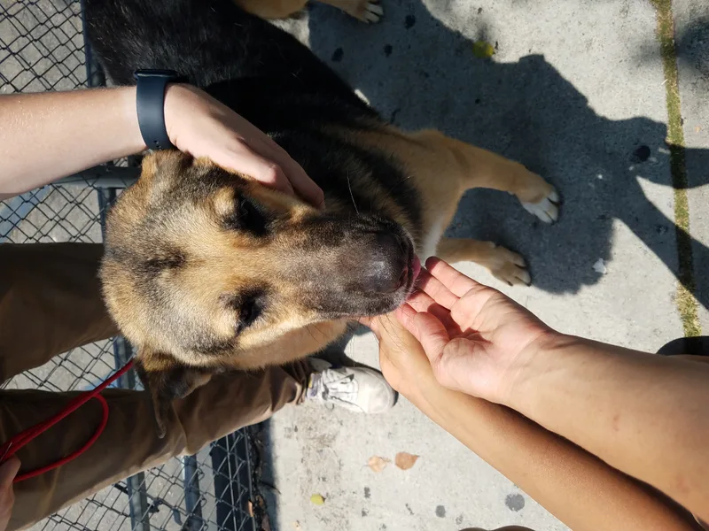 Chachachachachanges! thumbnail 2