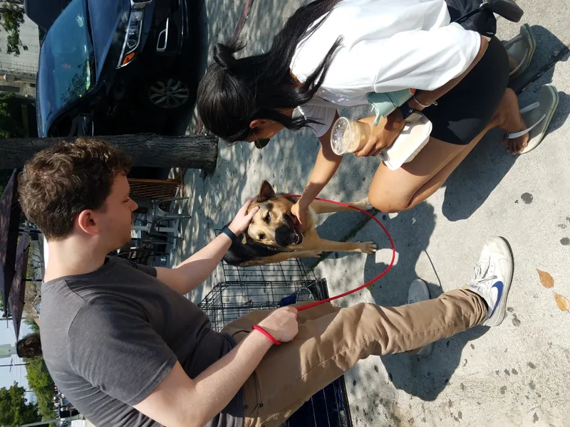 Chachachachachanges! thumbnail 5