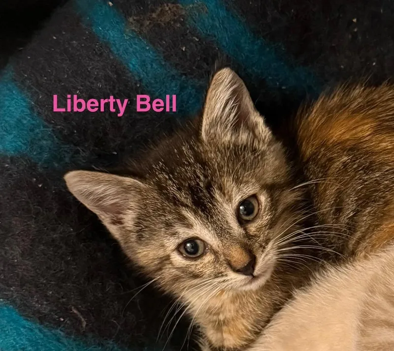 Liberty Bell