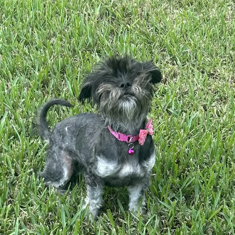 Lainey Arriving  D thumbnail 6
