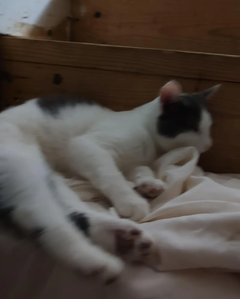 Bert And Ernie thumbnail 2