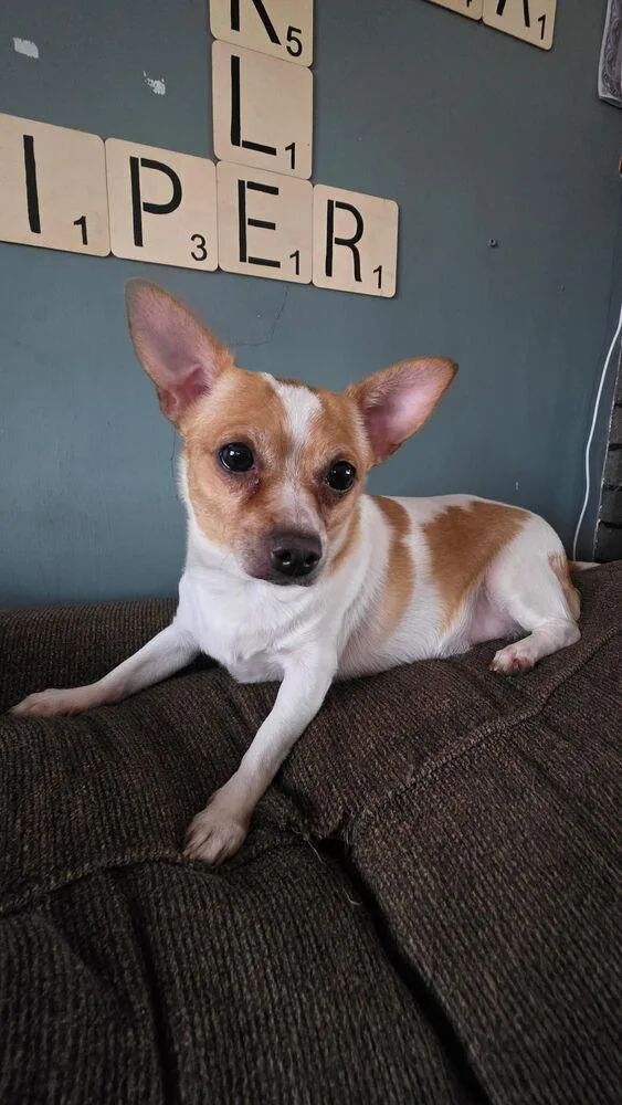 Chloe