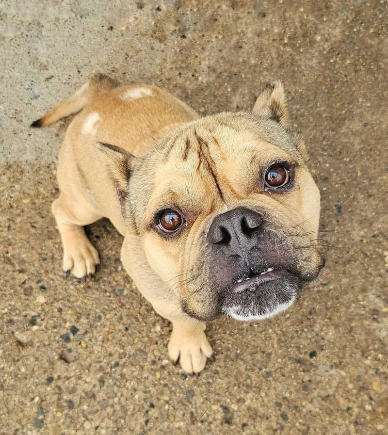 Buster thumbnail 2