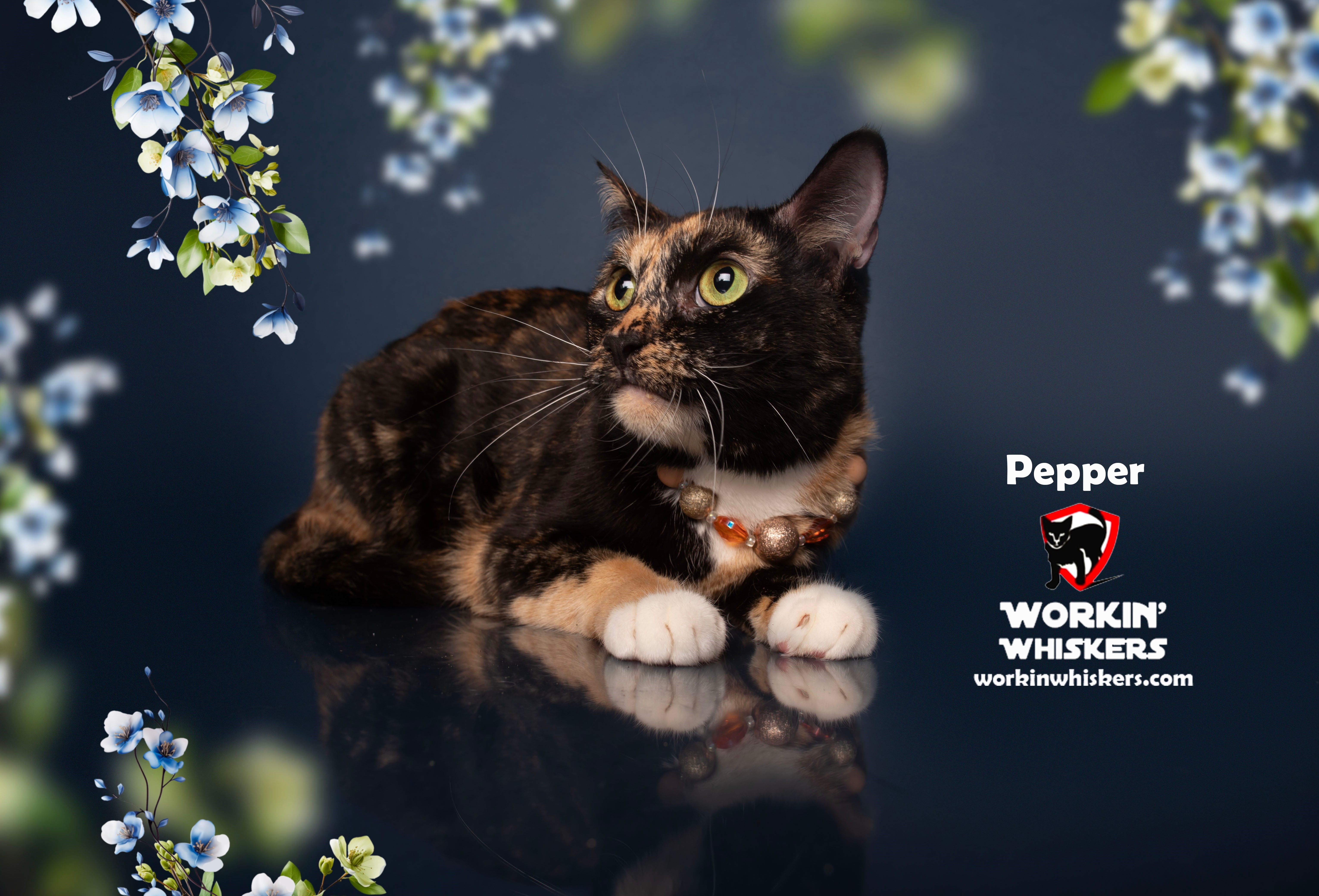 Pepper thumbnail 2
