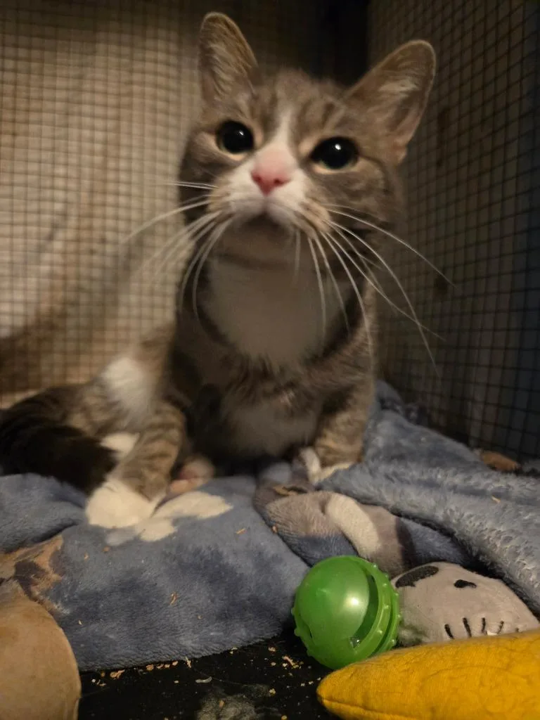 Evelyn Harper thumbnail 4