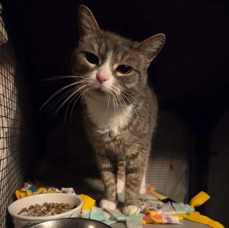 Evelyn Harper thumbnail 5