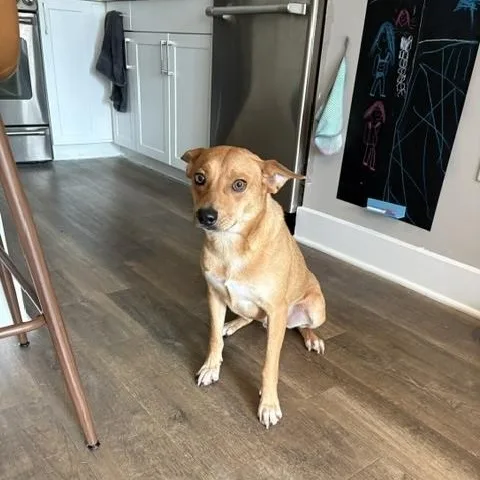 Artie