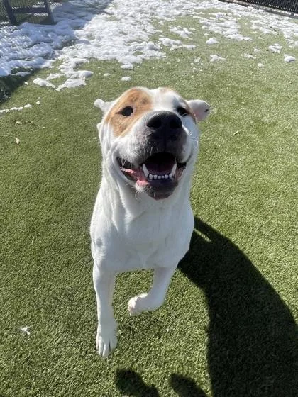 Princess Pinky thumbnail 3