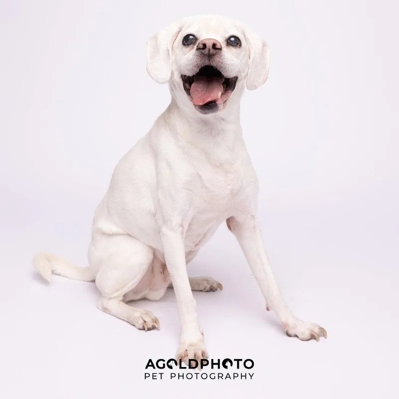 Lucky  M thumbnail 2