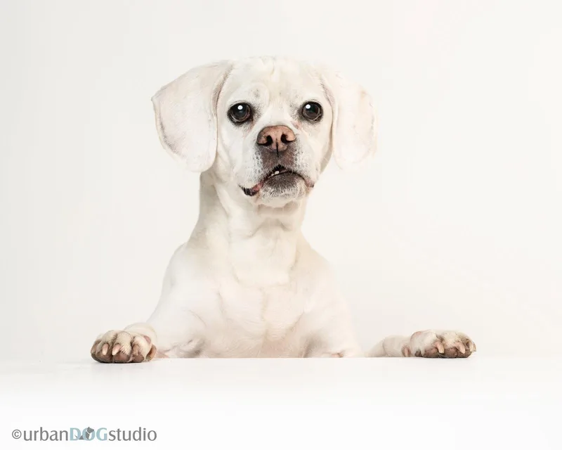 Lucky  M thumbnail 3