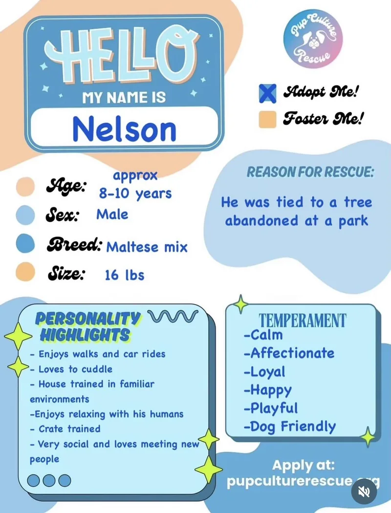 Nelson thumbnail 5