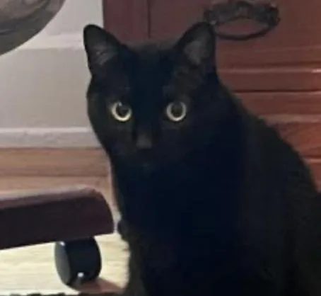 Rozamund Kittington thumbnail 2