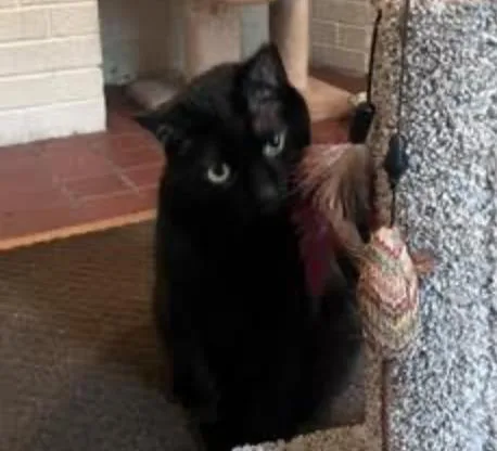 Rozamund Kittington thumbnail 4