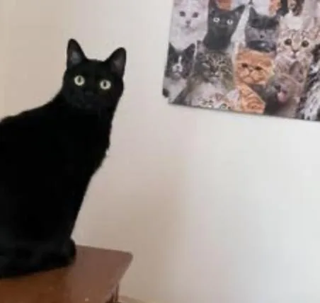 Rozamund Kittington thumbnail 5