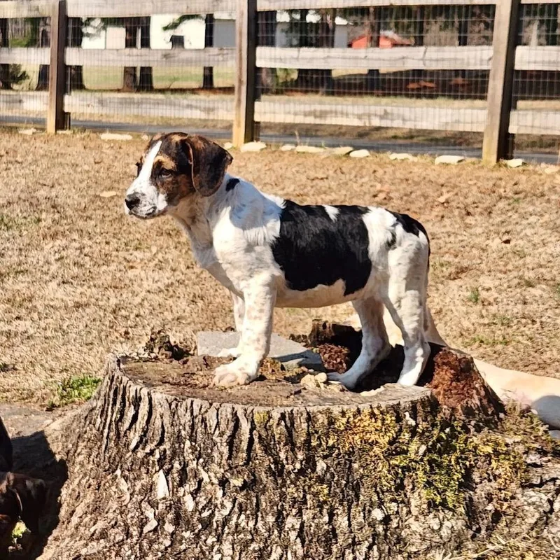 Christine thumbnail 2