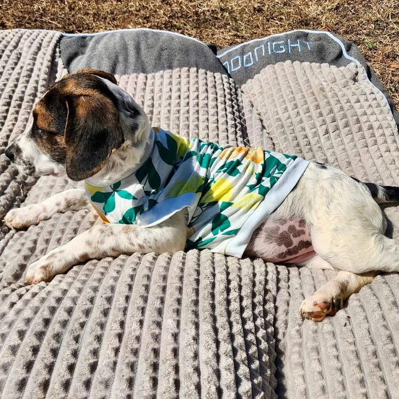 Christine thumbnail 3