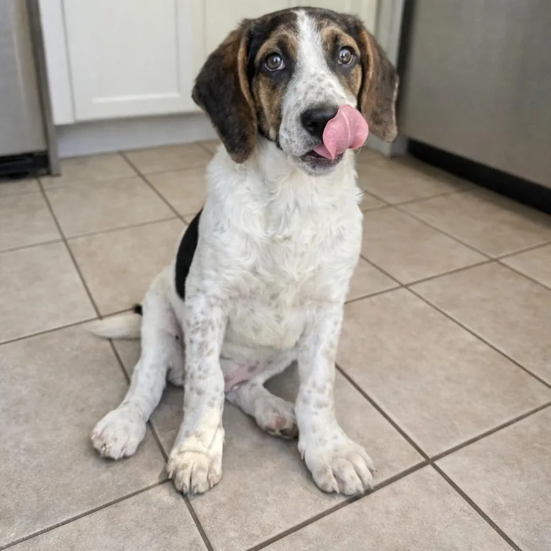 Christine thumbnail 4