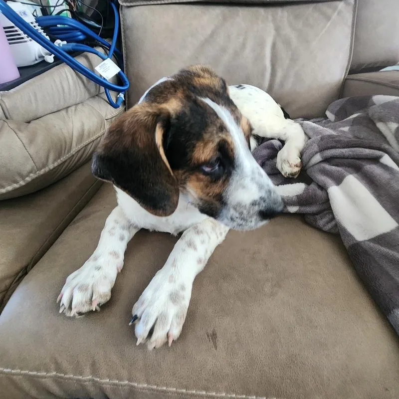 Christine thumbnail 5