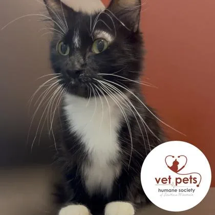 Georgina thumbnail 2