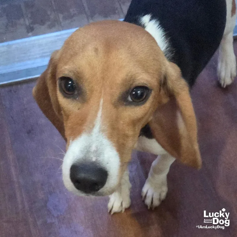 Elodie thumbnail 3
