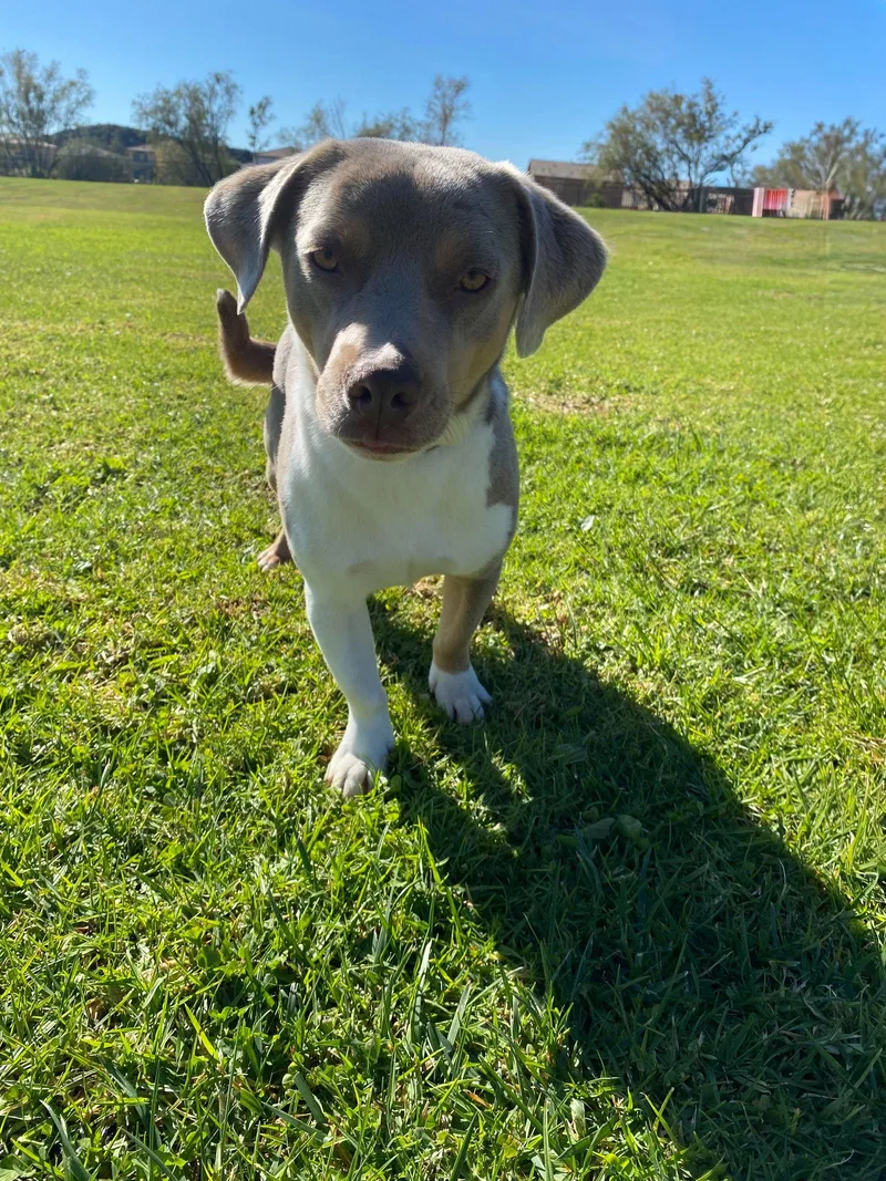 Sebastian thumbnail 2